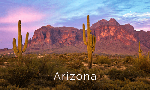 arizona2020